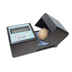 Buddy Egg Mk2 - Monitorizador Digital de Ovos